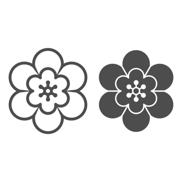꽃선과 단단한 아이콘, 중국 중기 축제 컨셉, 흰색 배경에 아름다운 식물 표지판, 웹 디자인에 대한 윤곽 스타일에 꽃 아이콘을 개화. 벡터 그래픽. - flower symbol sign vector stock illustrations