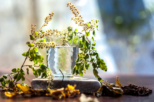 Best face mask to achieve clear pimple-free skin from home. DIY Holy Basil face mask consisting of some cloves, neem leaves, basil leaves and water shot of all the ingredients on the surface.