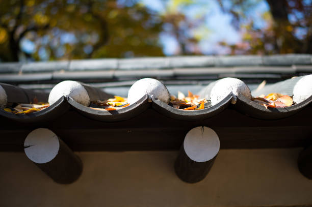 istock Autumn in Seoul Korea 1285024949