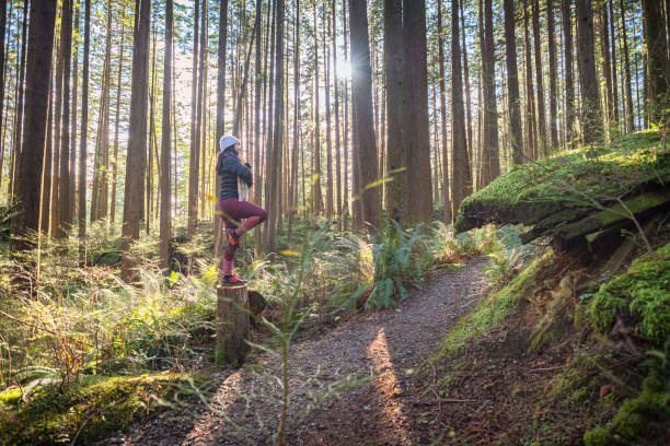istock Forest Meditation, Young Woman Balancing with Hands in Prayer 1285024959