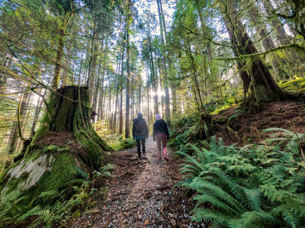 เดินป่าในฤดูใบไม้ร่วงแม่และลูกสาวเดินป่าขึ้นเส้นทางป่า - forest bathing ภาพสต็อก ภาพถ่ายและรูปภาพปลอดค่าลิขสิทธิ์