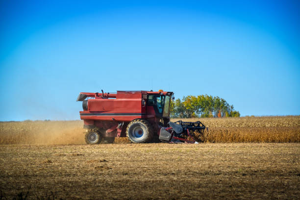 istock Harvester harvesting corn in a field in the fall in Quebec 1285026724