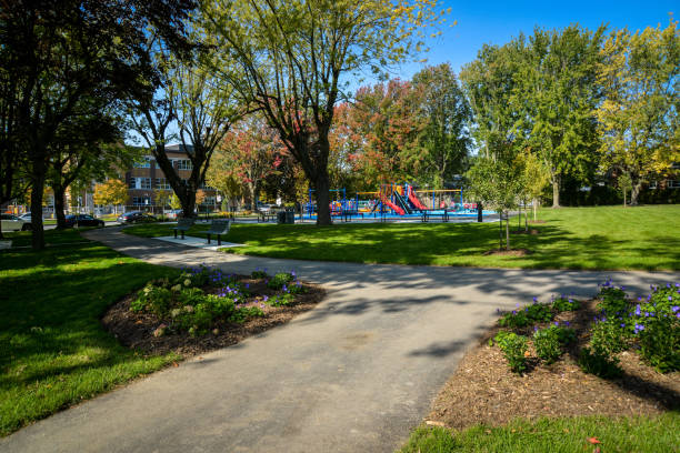 Large set of games for disabled child in a park