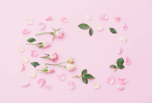 istock pink and white flowers on pink  paper  background 1285036344