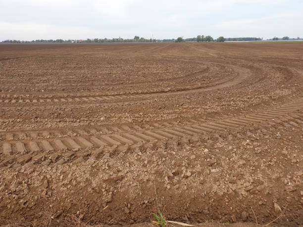 istock Freshly ploughed field in autumn spring 1285042365