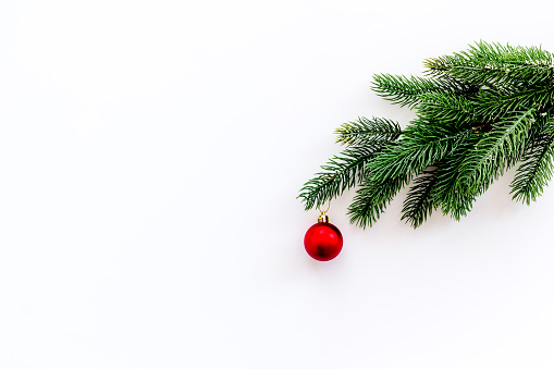 Christmas red bauble on a fir branch on white background
