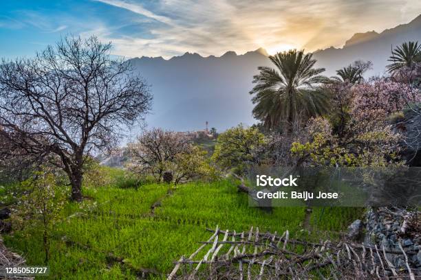 Wakan Village Sultanate Of Oman Stock Photo - Download Image Now - Oman, Winter, Tree