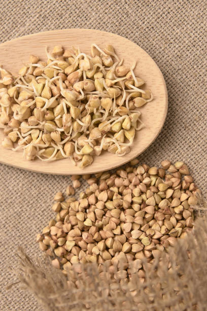 istock Buckwheat grain. Beans sprouts. Wooden spoon. Natural background 1285056302