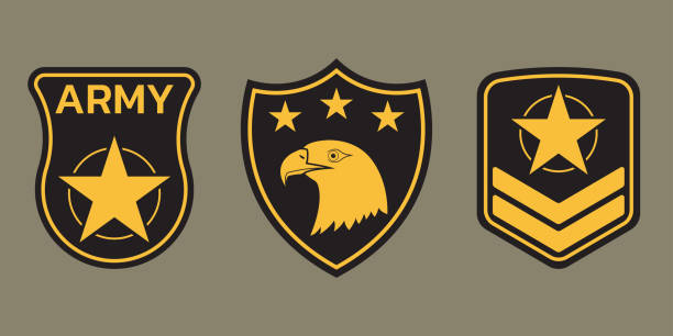 군사 배지, 육군 패치 및 휘장 세트. 독수리와 별이있는 공군 엠블럼. 벡터 그림입니다. - symbol military star eagle stock illustrations