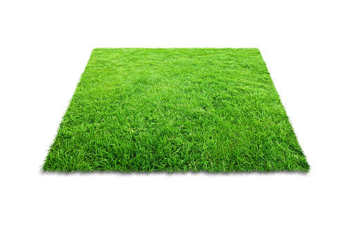 Green grass carpet in square shape isolated on white background. (Clipping path)