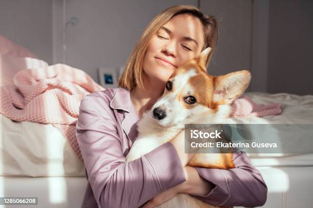 Young Attractive Woman Sitting By The Bed In The Bedroom And Playing With Corgi Dog Stock Photo - Download Image Now