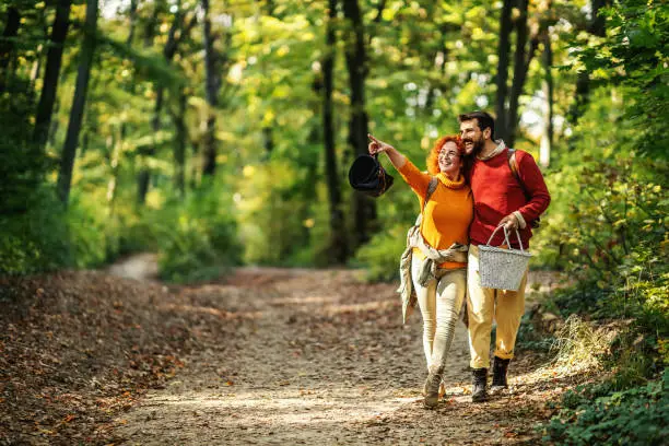 Young happy couple in love hugging and walking in nature. Couple is holding picnic equipment. Woman is pointing at something.