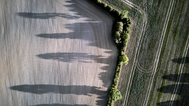 istock Agricultural field after harvesting the wheat crop 1285068306