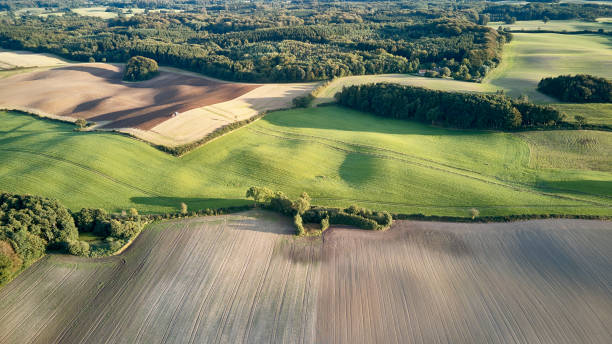 istock Typical Danish small field agricultural landscape 1285068454