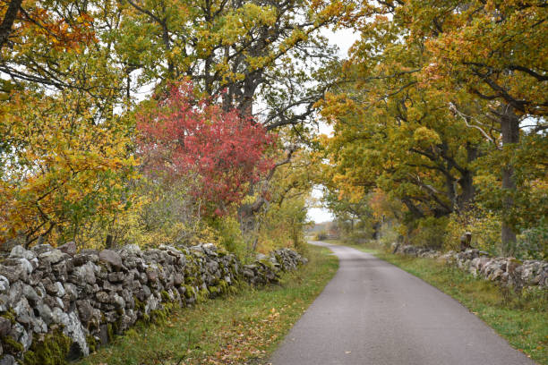 istock Fall season view by a country road 1285069686