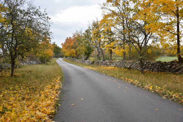 istock Colorful country road in fall season 1285069726
