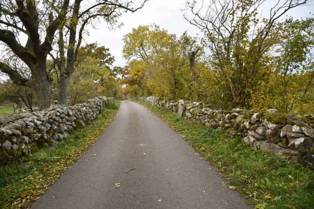 Traditional dry stonewalls by a country road on the island Oland in Sweden