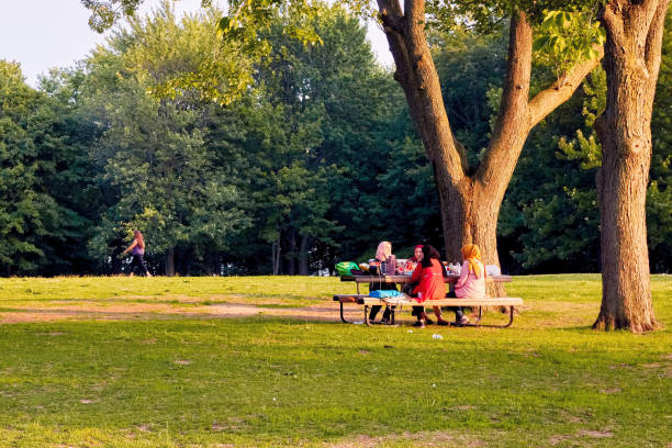 quattro donne arabe siedono su una panchina e hanno una conversazione nel mount royal park di montreal, canada. - bench mountain park sitting foto e immagini stock