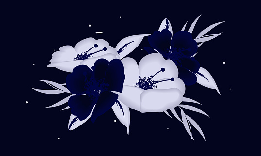 flowers of purple and white color isolated on purple background