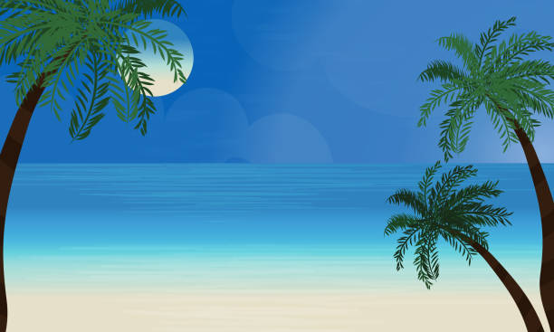 ilustrações de stock, clip art, desenhos animados e ícones de beautiful beach background - australia tunisia