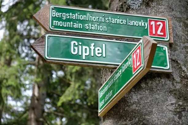 Guidepost on a tree trunk at the mountain " Großer Arber " pointing to the Bergstation ( mountain station ) and the Gipfel ( peak ). Seen in the Bavarian Forest in Germany in August.