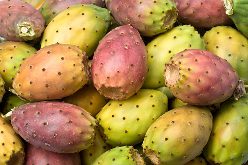 Edible fruits of cactus, prickly pear. Selective focus, background