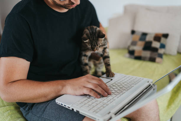 istock Everyday life of man and his cat 1285077094