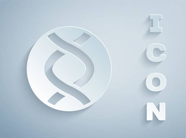 Paper cut DNA symbol icon isolated on grey background. Genetic engineering, genetics testing, cloning, paternity testing. Paper art style. Vector Paper cut DNA symbol icon isolated on grey background. Genetic engineering, genetics testing, cloning, paternity testing. Paper art style. Vector. paternity stock illustrations