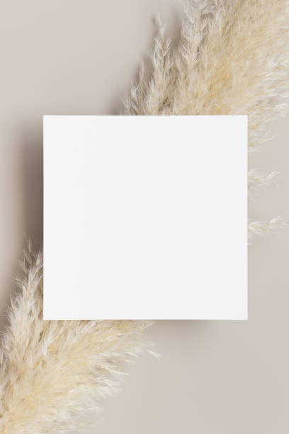istock Invitation square card mockup with a pampas grass decoration. 1285078611