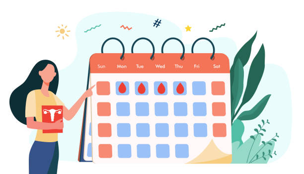 Woman checking menstruation calendar Woman checking menstruation calendar. Period, blood, lady flat illustration. Female health and organism concept for banner, website design or landing web page ovulation stock illustrations