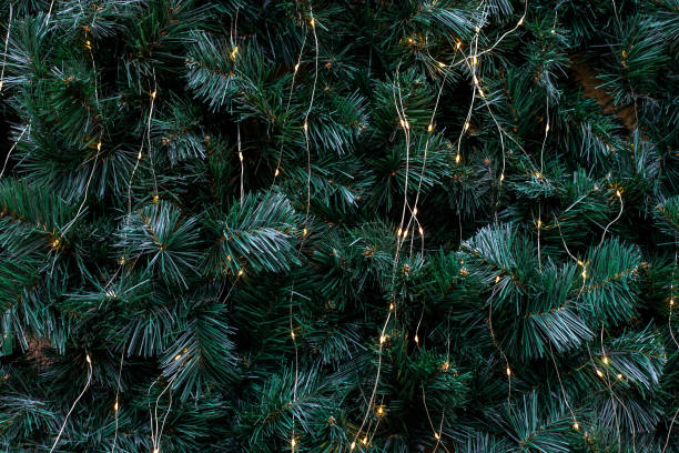 istock Texture of coniferous tree decorated garlands lights 1285079326