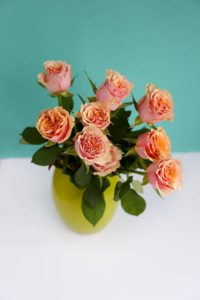 istock Pink roses bouquet in vase on the blue background 1285080511