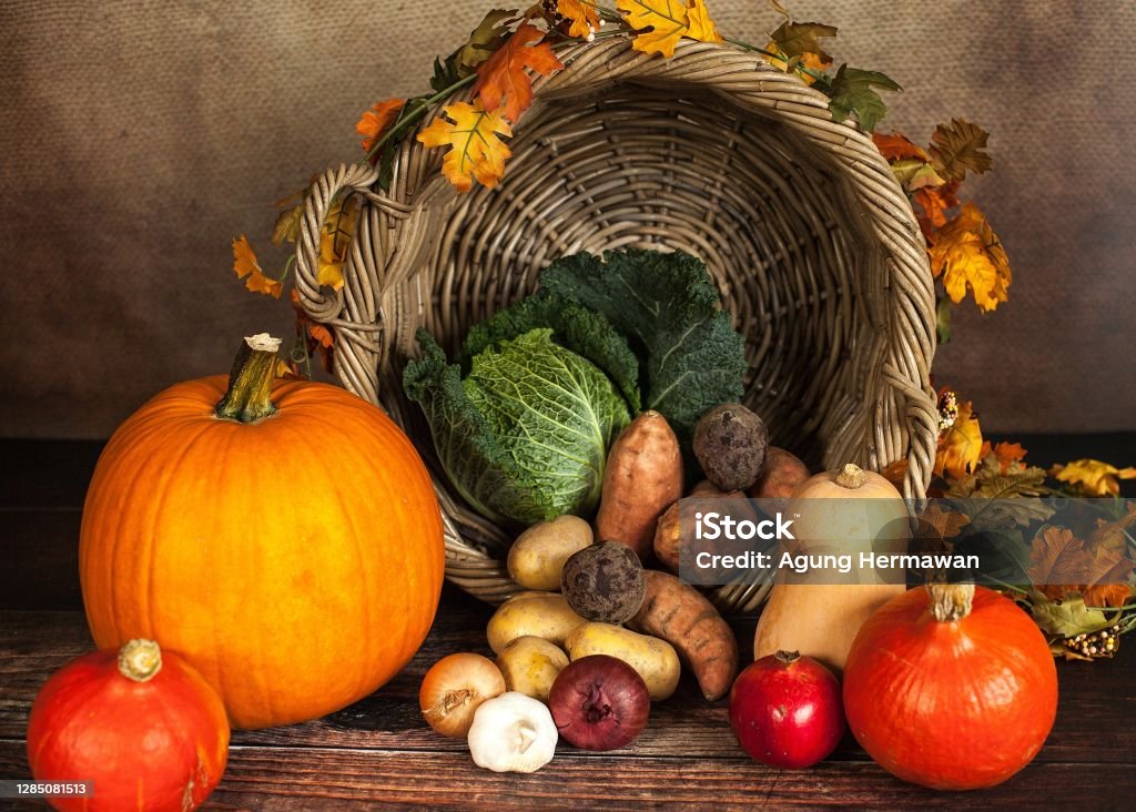 A neatly arranged collection of vegetables Vegetables are a general term for plant-based foodstuffs which usually contain high water content and are consumed fresh or after being minimally processed. Agriculture Stock Photo