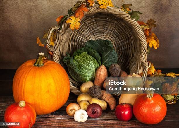 A Neatly Arranged Collection Of Vegetables Stock Photo - Download Image Now - Agriculture, Arrangement, Arranging