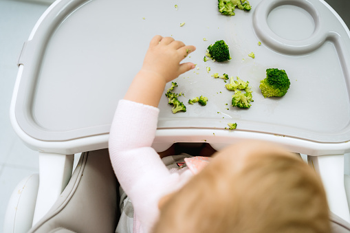 Baby led weaning concept, adorable caucasian blonde girl, vegetarian dieting approach