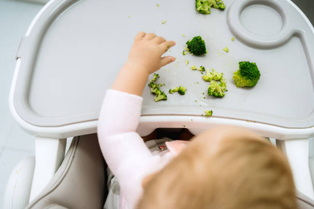 Baby led weaning concept, adorable caucasian blonde girl, vegetarian dieting approach Baby led weaning concept, adorable caucasian blonde girl, vegetarian dieting approach high chair stock pictures, royalty-free photos & images