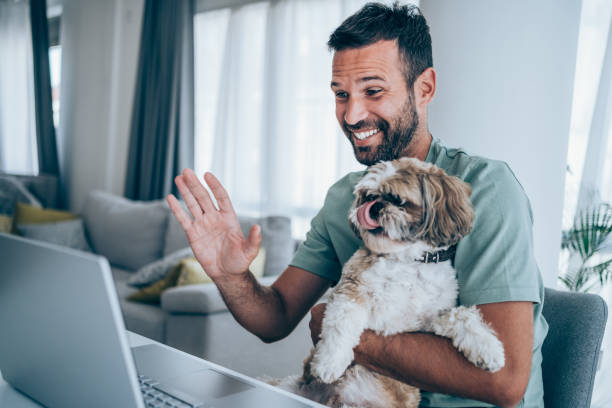 istock Cheerful man having video call at home. 1285083459