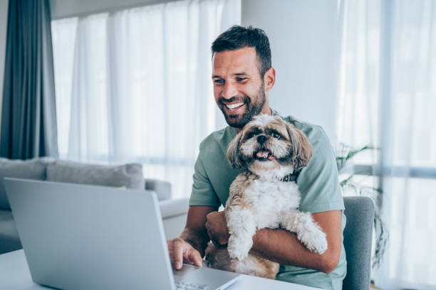 home-office. - people business dog owner stock-fotos und bilder