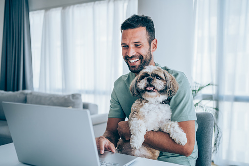 Handsome young man working on laptop while his dog sits in his lap. Young man working at home with his shih tzu. Businessman using laptop while he is in home isolation during coronavirus/COVID-19 quarantine.