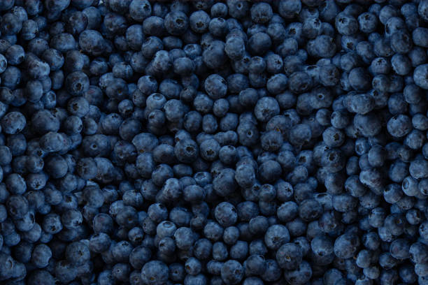 istock Blueberry Photography 1285085147