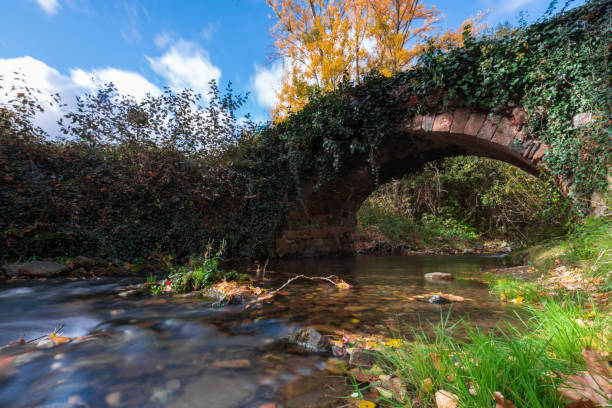 istock autumn landscape with a stone bridge over a river 1285087054