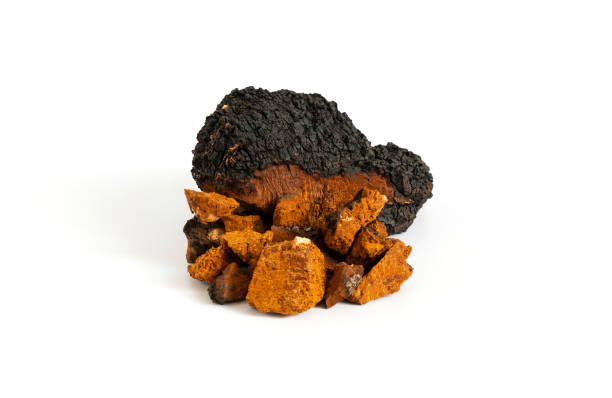 seta de chaga aislada sobre un fondo blanco. trozos picados de seta de chaga. - edible mushroom plants raw food nature fotografías e imágenes de stock