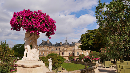 Beautiful view of historic Luxembourg Palace (Palais du Luxembourg ) located in park Jardin du Luxembourg, Paris, France with purple colored flowers above an old sculpture. Focus on flowers.