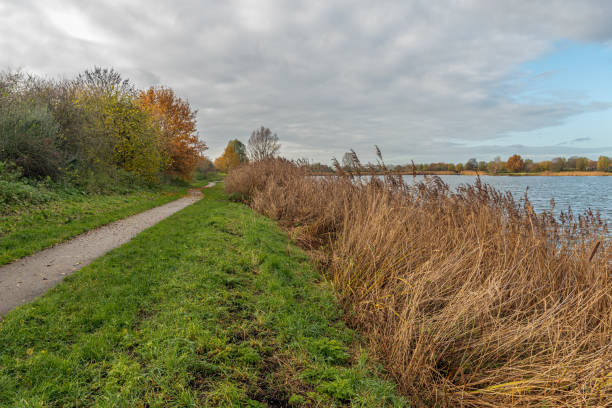 istock Narrow path along the lake 1285088908