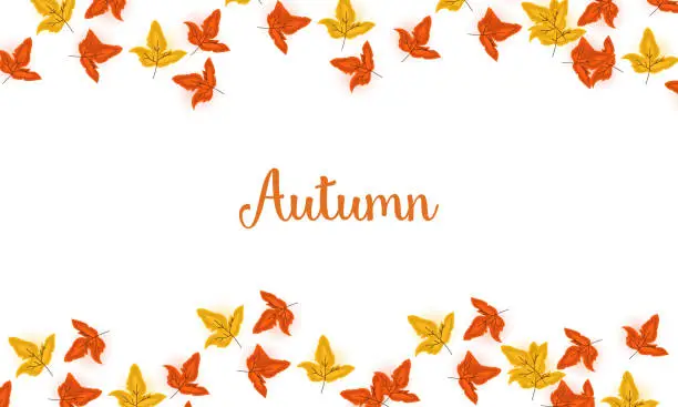 Vector illustration of Beautiful color Autumn Leaves Background illustration