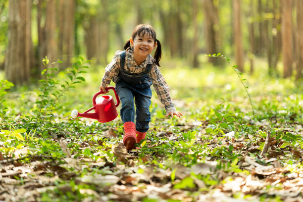 아시아 아이 afforest 식물 묘목 나무 자연 봄에 자연 봄 지구 온난화 성장 기능을 줄이고 자연 지구를 주의. 숲 배경에 있는 사람들 아이 소녀 - spring planting 뉴스 사진 이미지
