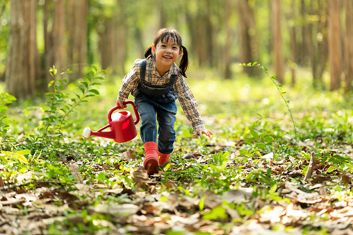 Asian kid Afforest plant sapling tree outdoors in nature spring for reduce global warming growth feature and take care nature earth. People kid girl in forest background
