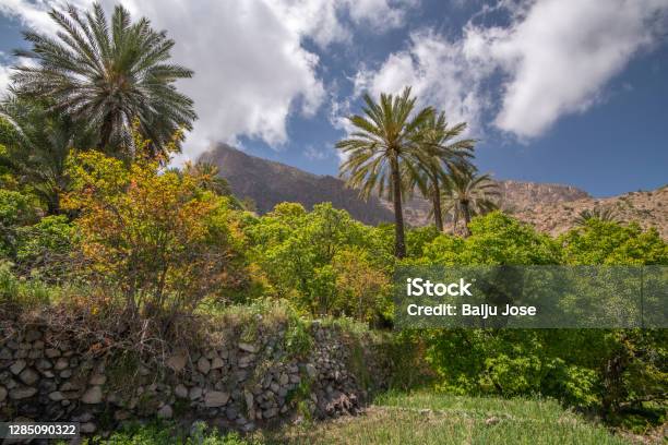 Wakan Village Stock Photo - Download Image Now - Agricultural Field, Agriculture, Apricot Blossom