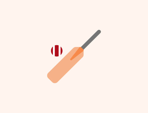 ilustrações, clipart, desenhos animados e ícones de ícone vetorial cricket bat e ball. símbolo de cor plana do jogo de críquete isolado - sport of cricket cricket player cricket field bowler