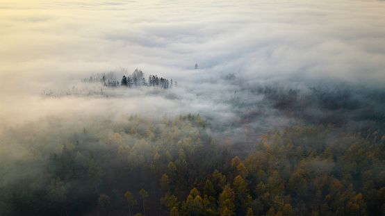 Fog over Taunus mountains, Germany - aerial view